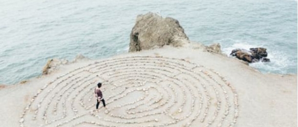 ORGANIZATION, MANAGEMENT AND SELF-DEVELOPMENT image